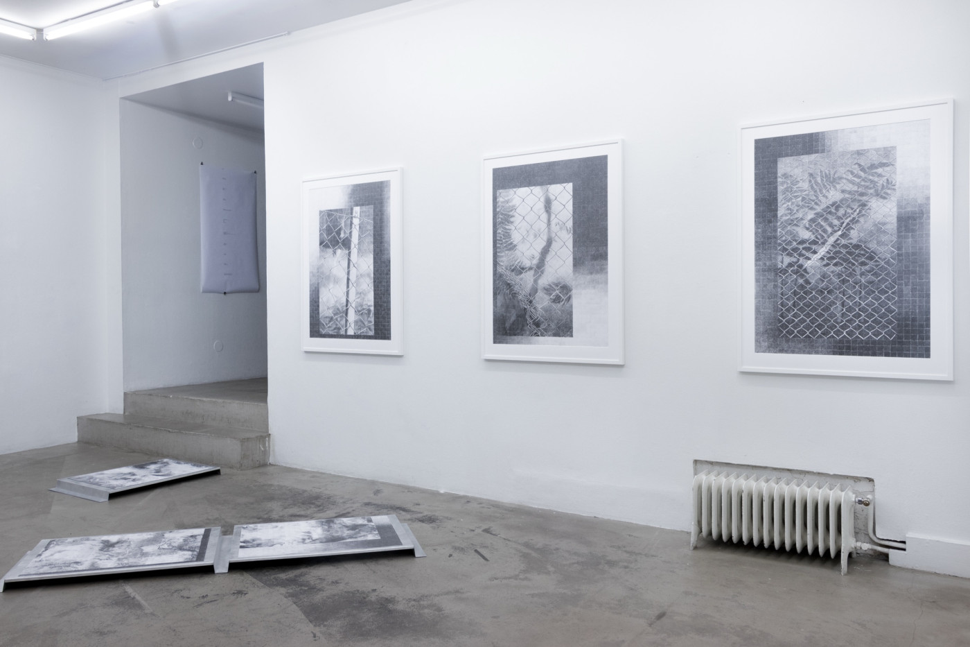 Gallery with framed drawings and prints on the floor